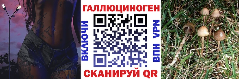 Галлюциногенные грибы MAGIC MUSHROOMS  купить  сайты  Барыш 